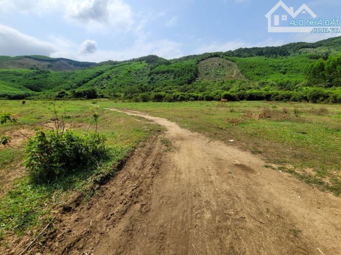 Chào bán 282.000m2 đất rừng tại thôn Phú Túc - Hoà Phú- Hoà Vang. - 1