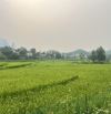 Gửi bán lô đất 575m² có 400m² tc View cánh đồng tại Cao Sơn Lương sơn Hòa Bình