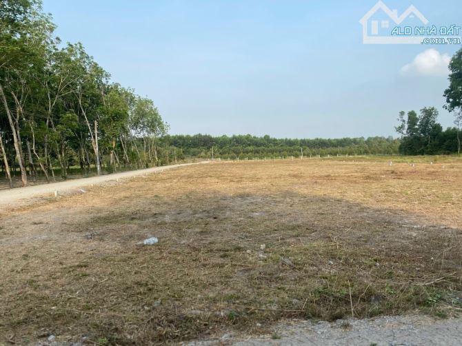 Nhà em kinh doanh lổ bán gấp nền đất ở KCN Phước Đông Tây Ninh giá 800tr full thổ,sổ sẵn - 2