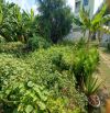Bán đất Vườn Lài P. An Phú Đông Quận 12, Đ. 6m, giá giảm còn 6.x tỷ
