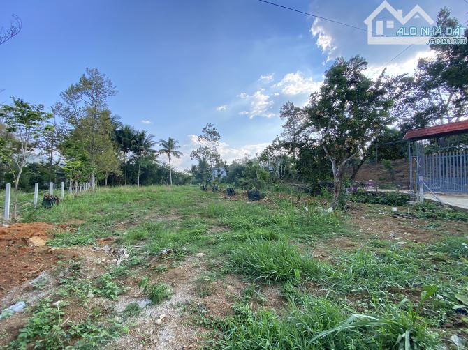 🆘🆘Bán đất vườn rộng ngay trung tâm TP Bảo Lộc đường 1 tháng 5 phường Blao - 2