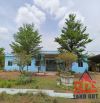X051 Bán 4,5 Hecta Đất FULL SKC Kèm Nhà Xưởng Tại Phước Tân, Biên Hòa Giá Rẻ