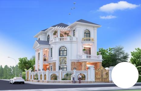 Biệt thự - Mẫu 1520