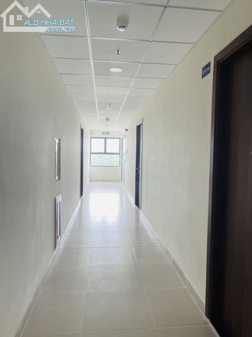 Căn hộ Ehome SouthGate 52m2 1Pn1Wc 2Tr8 Khu Đô Thị WaterPoint Nam Long Cách TP.Tân An 16km