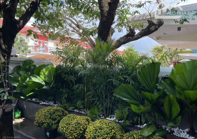 Cho thuê biệt thự Phúc Lộc Viên – Ngô Quyền, Sơn Trà, Đà Nẵng