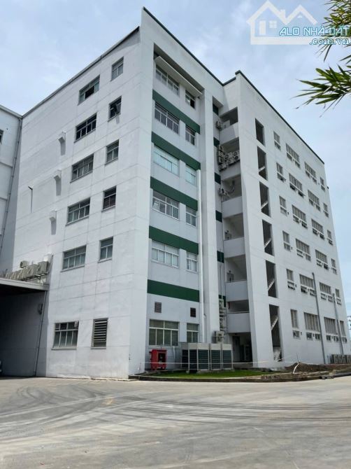 CHO THUÊ KHO 8000m2 NGÀNH DƯỢC THỰC PHẨM MẶT BẰNG LÀM NHÀ HÀNG TẠI QUẬN 6