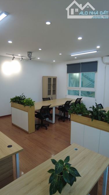 🎯 Cơ hội cuối năm! Coworking & VP hạng A giá ưu đãi sâu CÒN 75K/Ngày