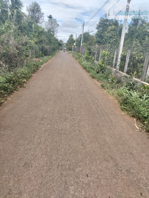 Ea Tu Bán 43x50 Thổ Cư 400 MT đường Nhựa