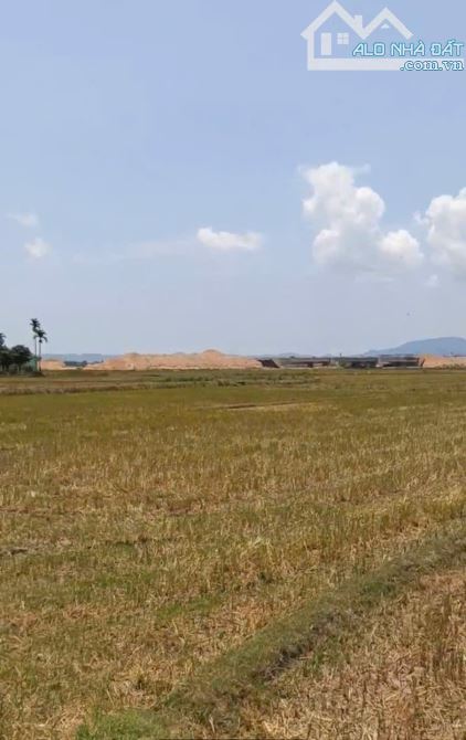 Bán đất Phước Thuận hơn 232m2 - đất lớn gần TP Quy Nhơn hiếm có. Giá dưới 2 tỷ