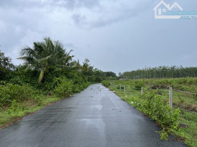 Sở hữu ngay lô view suối Hoà Hội đẹp như mơ