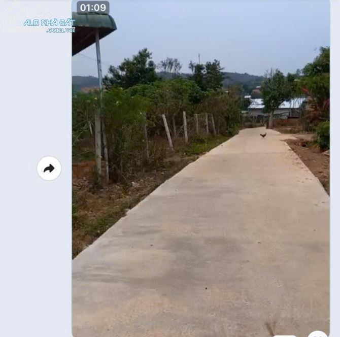 CHÍNH CHỦ BÁN ĐẤT + NHÀ VƯỜN TRÁI CÂY TẠI XÃ NINH GIA - ĐỨC TRỌNG - LÂM ĐỒNG - DT 1650M2