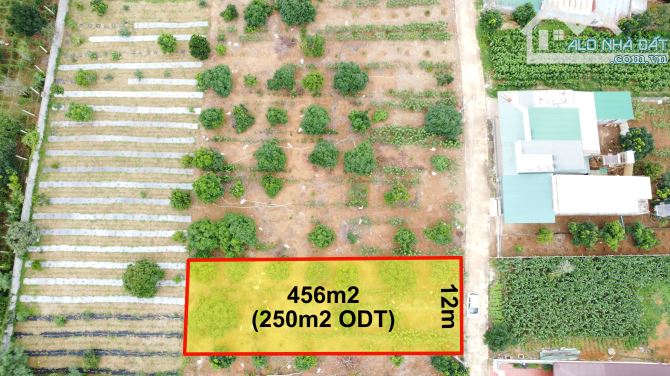 🏡 BÁN ĐẤT BIỆT LẬP – XÃ ĐÔNG THANH, LÂM HÀ - 1 TỶ 380 TRIỆU