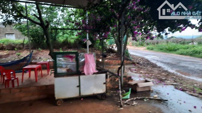 BÁN GẤP ĐẤT VIEW THIÊN NHIÊN THÔNG LÂM – MÊ LINH, LÂM ĐỒNG – MÓN HỜI 10,5 TỶ!