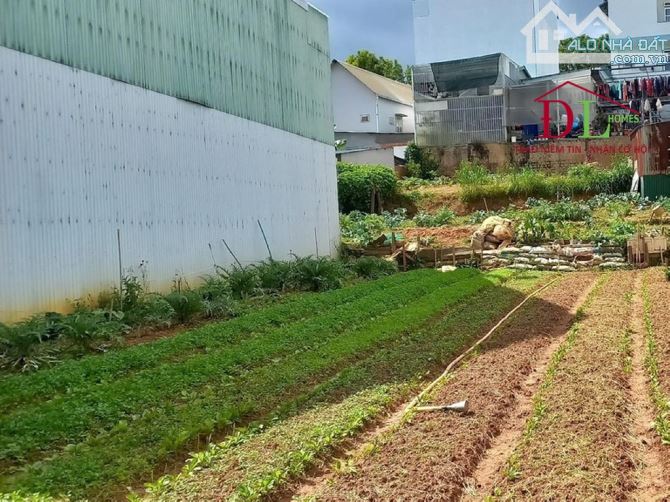 Bán đất hai mặt tiền hẻm Ngô Quyền phường 6 Đà Lạt thích hợp an cư.
