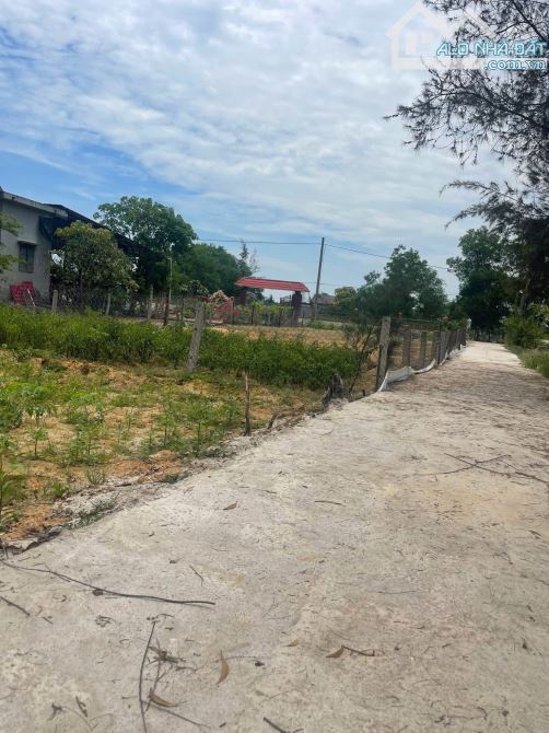 Gần 2000m2 đất có sẵn thổ cư, mặt tiền đường, dân cư đông đúc, có thương lượng