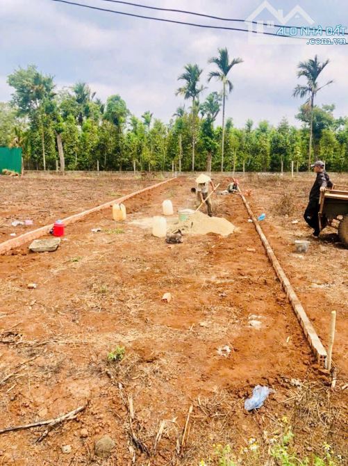 🅿️❇️ĐẤT ĐƯỜNG D5 BUÔN KOTAM EATU QUỐC LỘ 26, 710 TRIỆU, 5mx34m nở hậu 5,4m