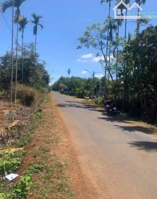 Mặt tiền Nguyễn Xuân Nguyên Giá Xả Lỗ đầu tư cực tốt