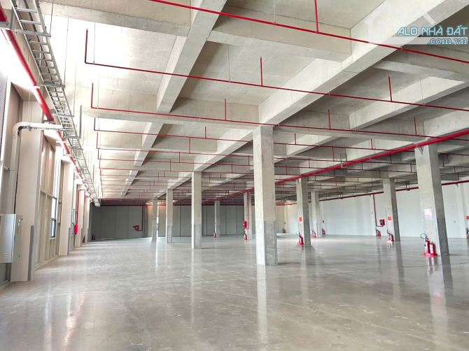 CHO THUÊ KHO XƯỞNG 8000m²- PCCC TỰ ĐỘNG- KCN TÂN KIM, CẦN GIUỘC, LONG AN