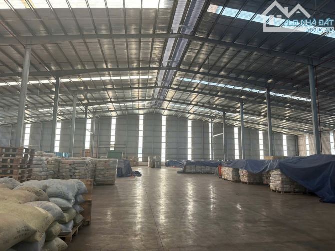 Cho thuê kho chứa hàng hóa 5000m2, gần Cổng 11, Phước Tân, Biên Hòa, giá thuê 350tr/tháng.