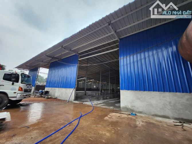 Cho thuê xưởng long thành 4000m2 đất skc giá tốt chỉ 40k/m2