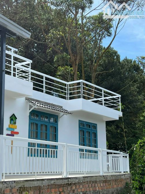 Cho thuê homestay 1500m2 đường Hùng Vương- phường 11 Đà Lạt giá 45 triệu