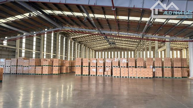 Cho Thuê Kho Xưởng Mặt Tiền Trần Đại Nghĩa 15.000m2 Sản Xuất Hoặc Chứa Hàng Tại Bình Chánh