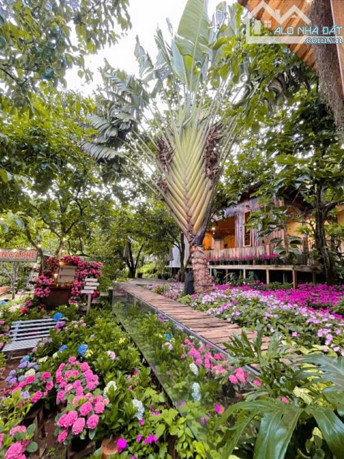 Cho thuê Villa sân vườn 700m2 đèo Prenn Đà Lạt giá thuê 26 triệu