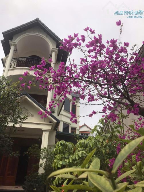 CHO THUÊ BIỆT THỰ NHÀ VƯỜN GIANG BIÊN-VIỆT HƯNG-LONG BIÊN-DT 360M2-16TR/TH