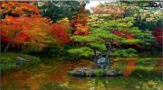 3 nguyên tắc không thể bỏ qua khi thiết kế khu vườn kiểu Nhật