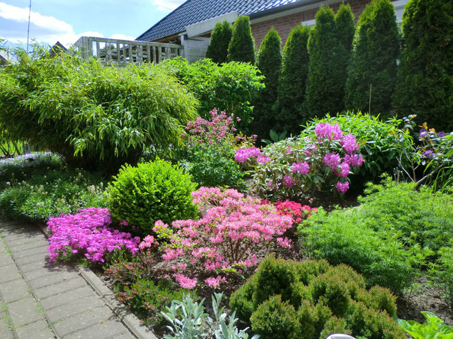 Vườn hoa giữa hàng thông xanh của gia đình Việt ở Đức
