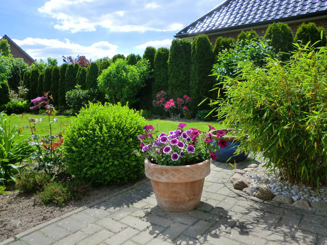 Vườn hoa giữa hàng thông xanh của gia đình Việt ở Đức