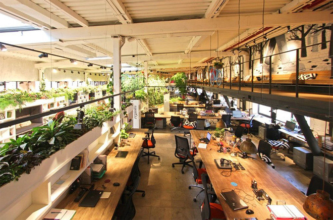 Văn phòng xanh: Năm 2024, văn phòng xanh là tiêu chuẩn của mỗi doanh nghiệp. Các công ty đã hỗ trợ cho việc trồng cây xanh, bố trí trang trí văn phòng xanh hơn. Văn phòng sẽ có giá trị hơn khi nó không chỉ đem lại một không gian làm việc hiệu quả, mà còn mang lại những giá trị về môi trường sống.