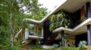 Planchonella house - ngôi nhà đặc biệt giữa rừng nhiệt đới