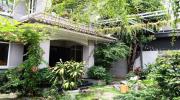 Cao Thái Sơn trải qua nhiều thất bại để có nhà vườn xanh mướt