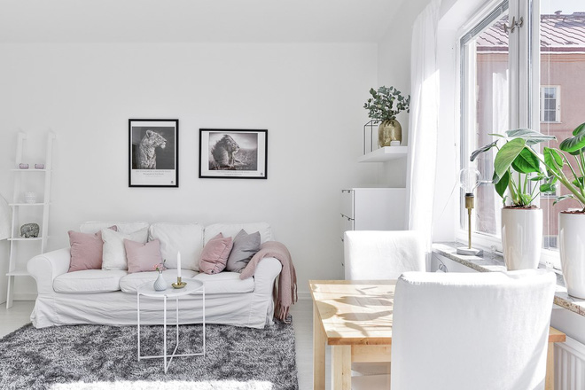 Chỉ 28m² nhưng căn hộ màu trắng này vừa đẹp không tì vết