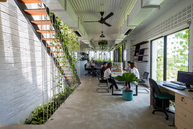 Văn phòng rợp mát trong căn nhà Đà Nẵng phủ đầy cỏ lau, tre, chuối