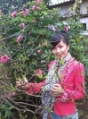 Việt Hà