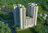 Căn hộ chung cư Hausneo