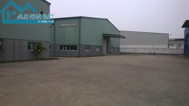 Cho thuê kho xưởng D8 KCN Đại Đồng Hoàn Sơn- Tiên Du. 900m2, 2500m2 và6500m2, CtyNgọc Long