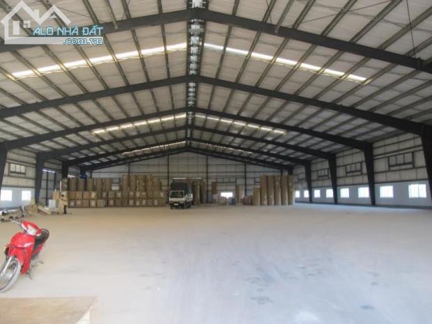 Cho thuê kho, xưởng q7 dt: 700m -1600m2 giá 60,000đ/m2 - 1