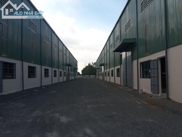 Cho thuê nhà xưởng 9000 m2, đường ĐT 830, huyện Bến Lức, Long An - 2