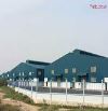 cho thuê kho xưởng 9800m2 giá 290tr/tháng xe container ra vào ở Tân Uyên