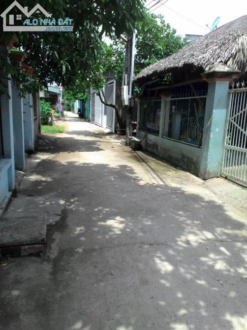 1,1 tỷ /98m đất Đại Phước,Nhơn Trạch cách phà 2km,dân cư đông - 1