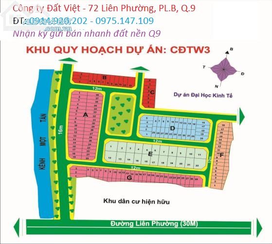 bán đất giá rẻ, đất nền sổ đỏ dự án Mẫu Giáo TW3, Phú Hữu, quận 9 (TP Thủ Đức)