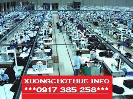 Cho Thuê Kho Xưởng Đang Làm May Diện Tích 10.000m2 Giá 220tr/tháng  Ở Đường Hồ Văn Tắng - 2