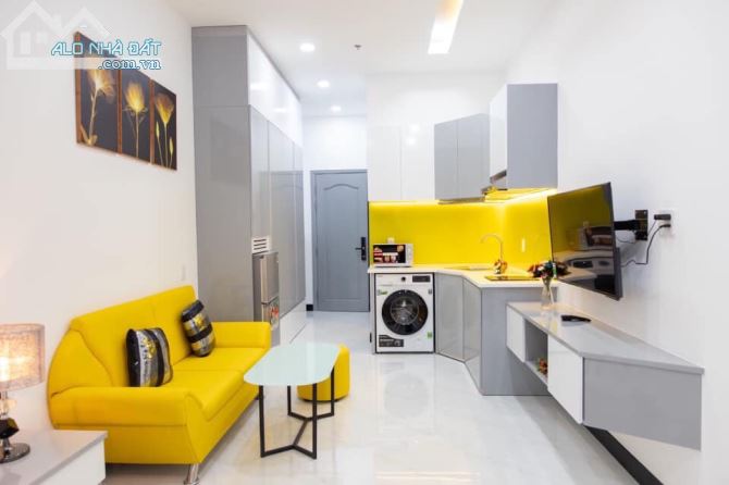 Căn hộ mini Full NT ngay Lotte, SC Vivo City, Phú Mỹ Hưng, ĐH RMIT, HimLam tiện qua Quận 1 - 14