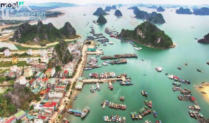 Cần gửi bán lô đất khách sạn mặt biển dự án Ao Tiên, Vân Đồn, Quảng Ninh - 1