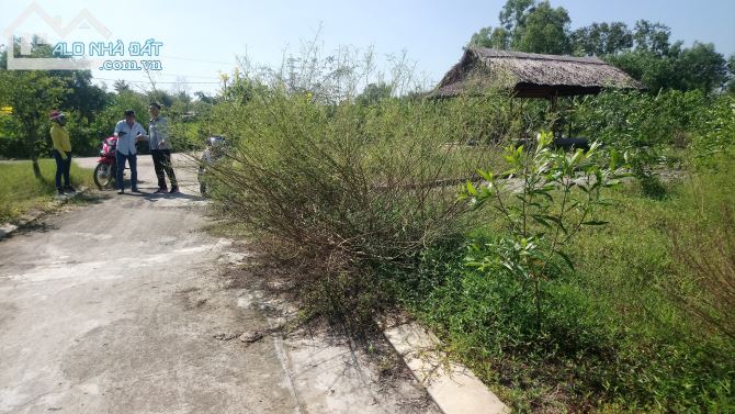 Bán lô đất vườn đường xe hơi Phước Lâm, Cần Giuộc, Long An, dt 500m2