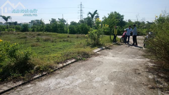 Bán lô đất vườn đường xe hơi Phước Lâm, Cần Giuộc, Long An, dt 500m2 - 3