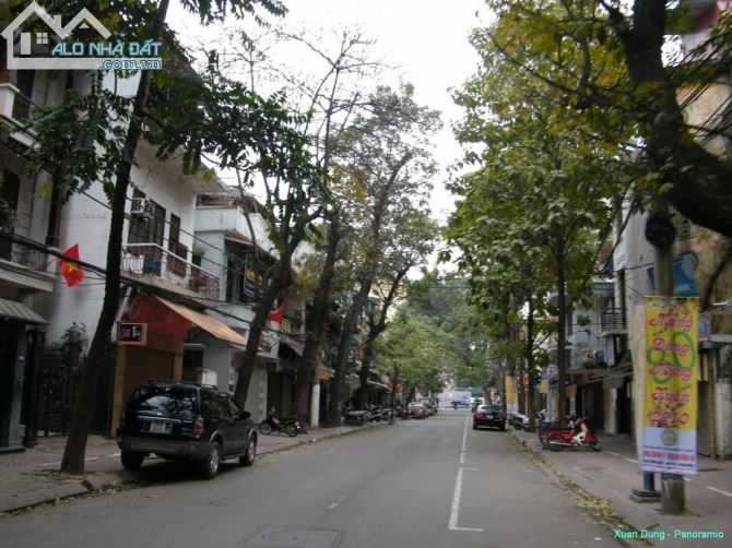 Bán nhà Mặt phố TRIỆU VIỆT VƯƠNG, quận Hai Bà Trưng, 41m2, Mặt tiền 5m, 5 tầng, Giá 36 tỷ